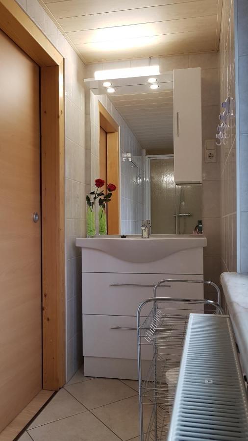 Ferienwohnung Berndt Oberweißbach Dış mekan fotoğraf