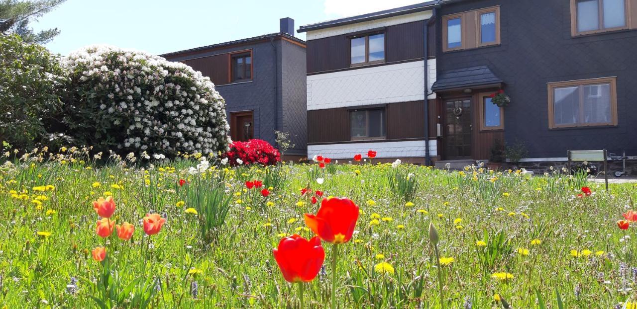 Ferienwohnung Berndt Oberweißbach Dış mekan fotoğraf