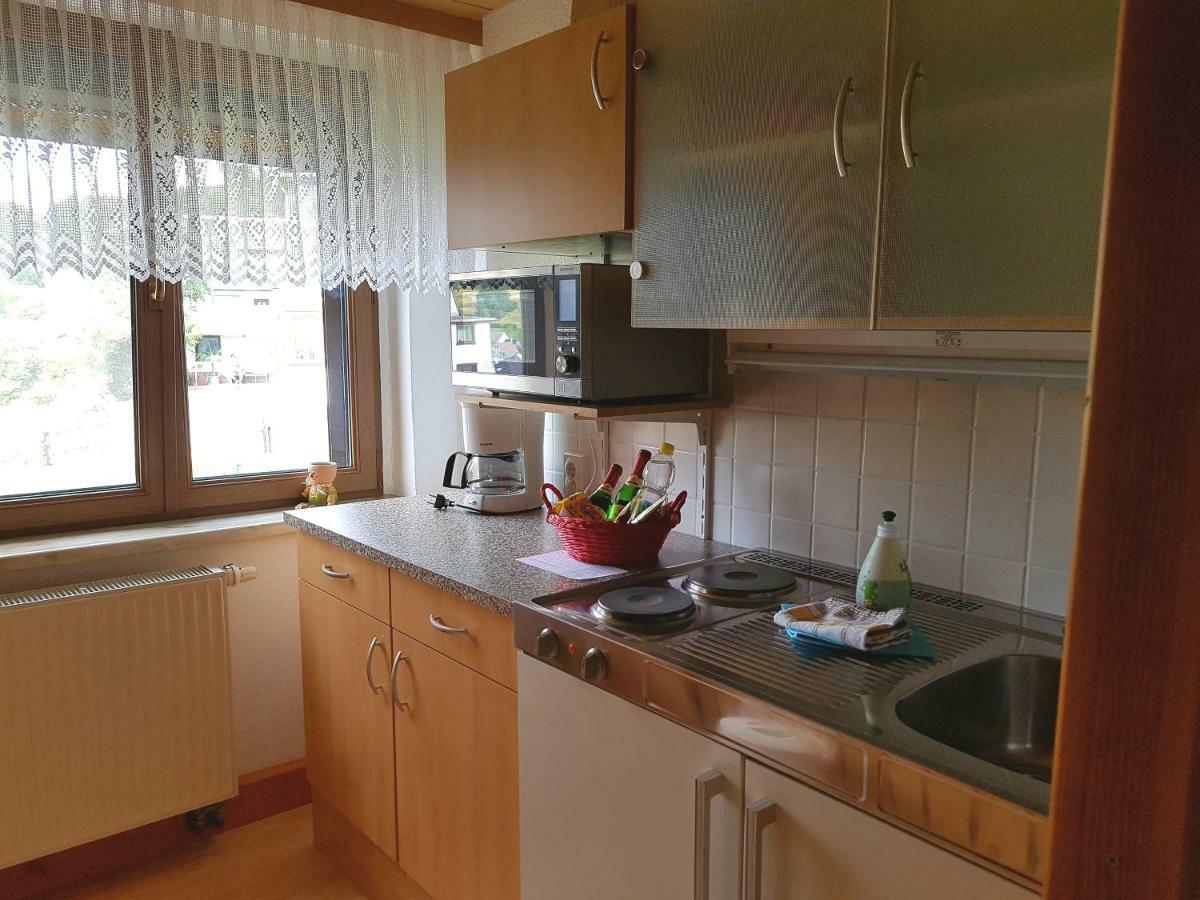 Ferienwohnung Berndt Oberweißbach Dış mekan fotoğraf