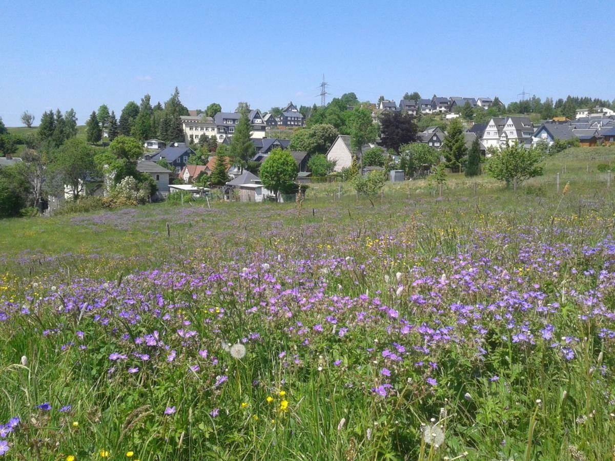 Ferienwohnung Berndt Oberweißbach Dış mekan fotoğraf